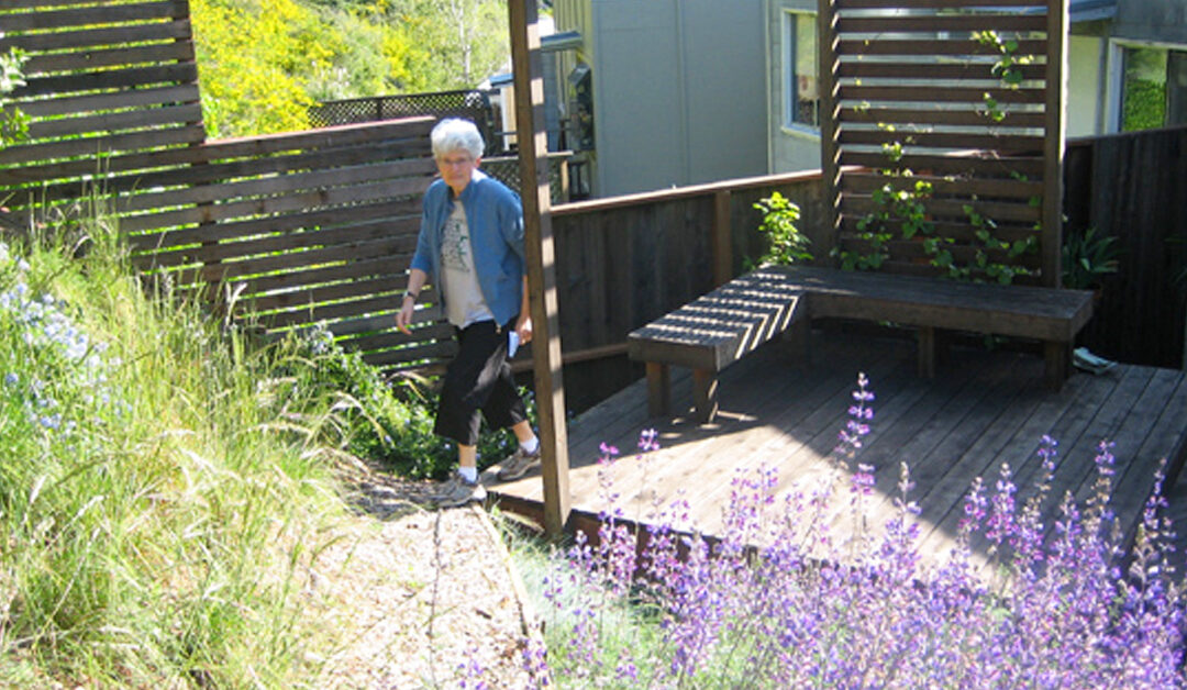 Deck as Bridge across Concrete Swale