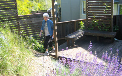 Deck as Bridge across Concrete Swale