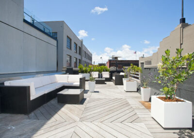 Drought-tolerant plants frame a clean, modern roof deck in the South Beach neighborhood of San Francisco.