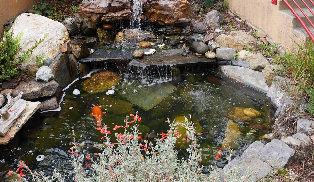 Forest Hill Waterfall & Pond