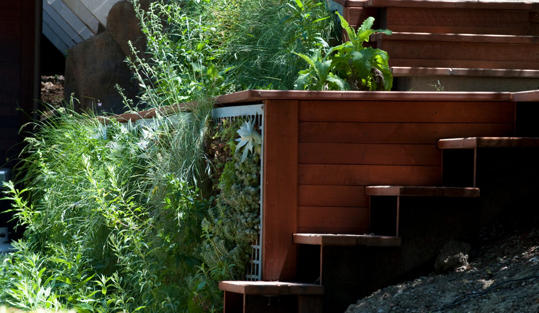 Green Wall in Los Altos Hills