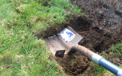 Kill Your Lawn, Get Paid