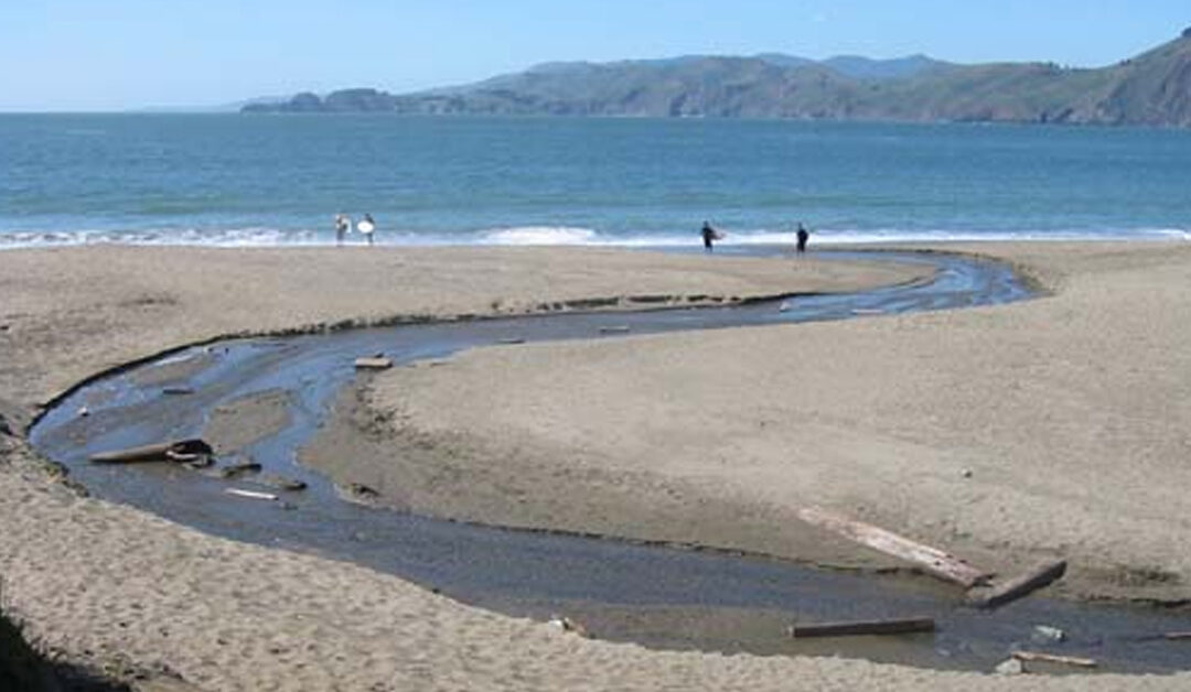 Lobos Creek winds through the southwestern Presidio and pours into the Pacific at the southern tip of Baker Beach.