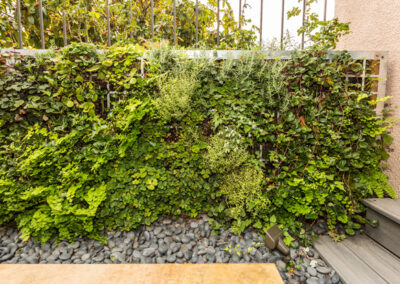 Ferns, strawberries, and a free-standing green wall of perforated steel.