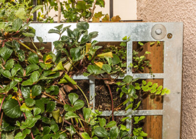 Detail photo of galvanized steel plate in a modern green wall