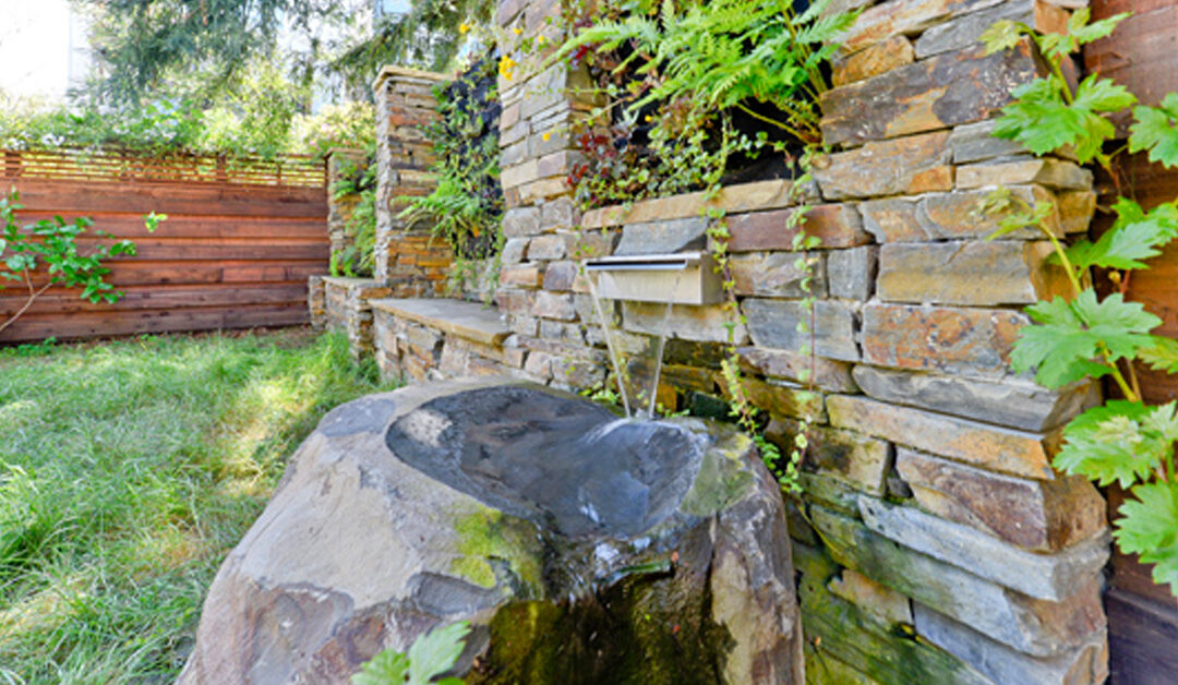 Noe Valley Sustainable