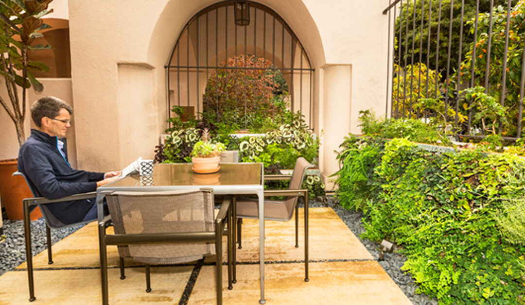 North Beach Oasis