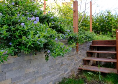 Steep Site in Miraloma Park
