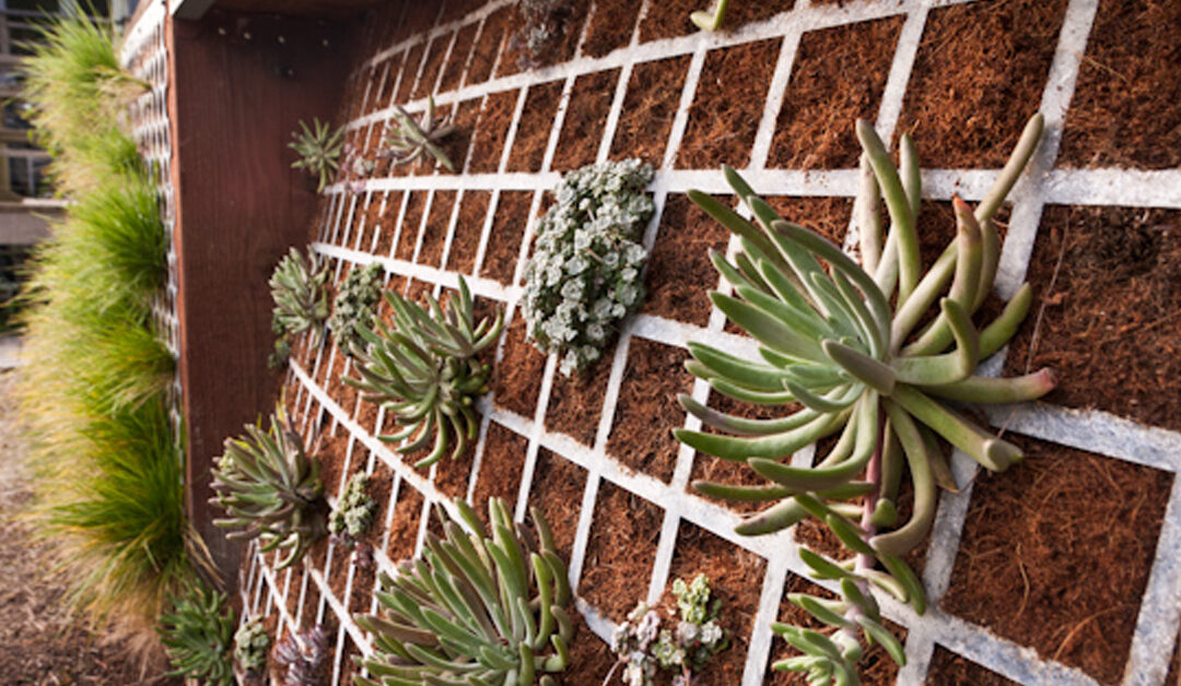 Glen Park Vertical Landscaping