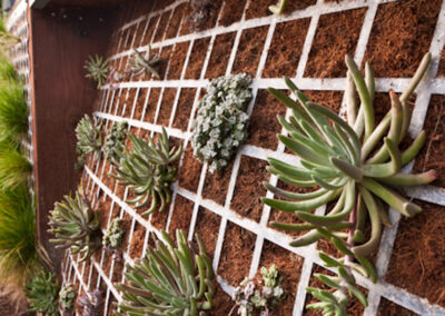 Glen Park Vertical Landscaping