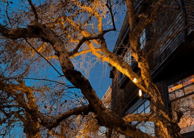 Pacific Heights Jewel: Creative brickwork fronting a 100-year-old house with custom bike shed and family heritage tree as focal point.