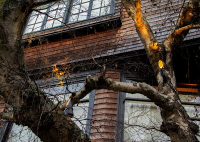 Pacific Heights Jewel: Creative brickwork fronting a 100-year-old house with custom bike shed and family heritage tree as focal point.