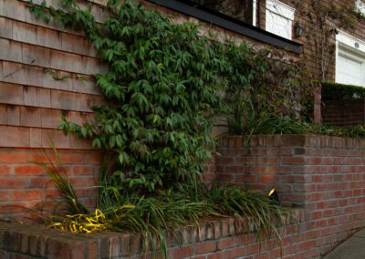 Pacific Heights Jewel: Creative brickwork fronting a 100-year-old house with custom bike shed and family heritage tree as focal point.