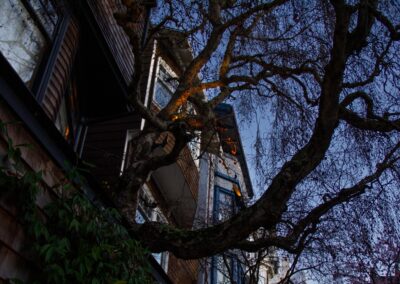 Pacific Heights Jewel: Creative brickwork fronting a 100-year-old house with custom bike shed and family heritage tree as focal point.