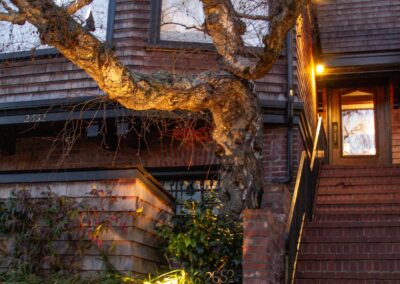 Pacific Heights Jewel: Creative brickwork fronting a 100-year-old house with custom bike shed and family heritage tree as focal point.