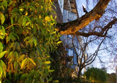 Pacific Heights Jewel: Creative brickwork fronting a 100-year-old house with custom bike shed and family heritage tree as focal point.