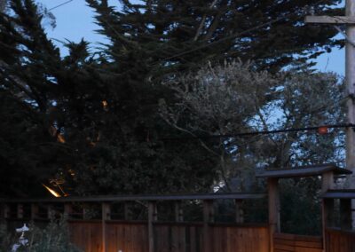 Pacific Rim Fusion: On a steep site under sandy conditions we melded Japanese aesthetics with landscape lighting and California native plants.