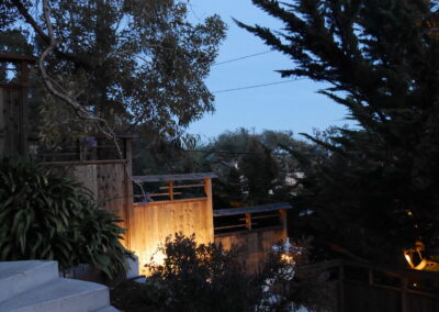 Pacific Rim Fusion: On a steep site under sandy conditions we melded Japanese aesthetics with landscape lighting and California native plants.