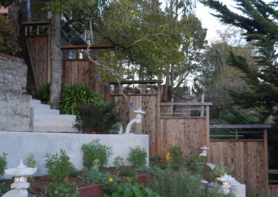 Pacific Rim Fusion: On a steep site under sandy conditions we melded Japanese aesthetics with landscape lighting and California native plants.