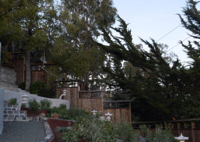 Pacific Rim Fusion: On a steep site under sandy conditions we melded Japanese aesthetics with landscape lighting and California native plants.