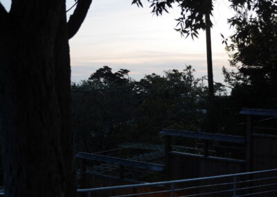 Pacific Rim Fusion: On a steep site under sandy conditions we melded Japanese aesthetics with landscape lighting and California native plants.