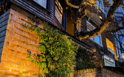 Pacific Heights Jewel