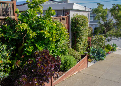 Modest, Immaculate Modern Shangri-La in Miraloma Park