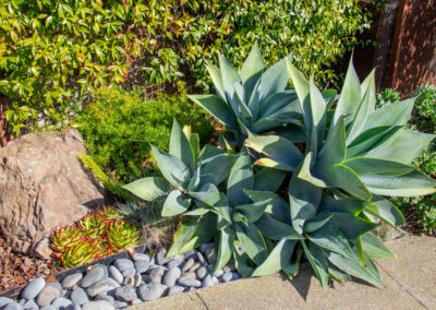 Modest, Immaculate Modern Shangri-La in Miraloma Park