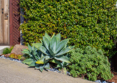 Modest, Immaculate Modern Shangri-La in Miraloma Park