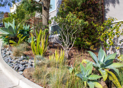 Modest, Immaculate Modern Shangri-La in Miraloma Park