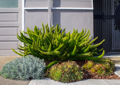 Modest, Immaculate Modern Shangri-La in Miraloma Park