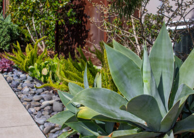 Modest, Immaculate Modern Shangri-La in Miraloma Park