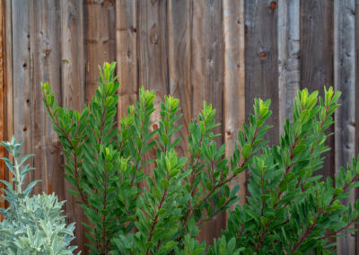 Glen Park Cottage