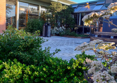 Randall Museum Patio and Seating Installation