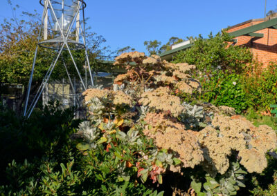 Randall Museum Patio and Seating Installation