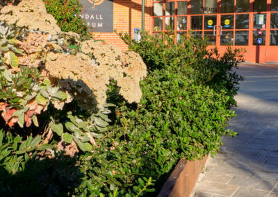 Randall Museum Patio and Seating Installation